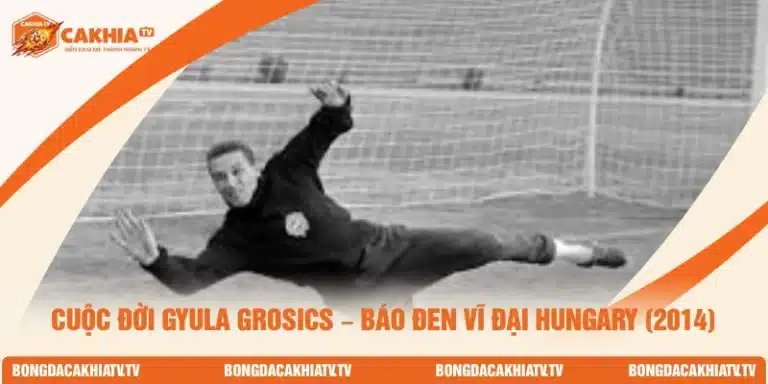 Gyula Grosics